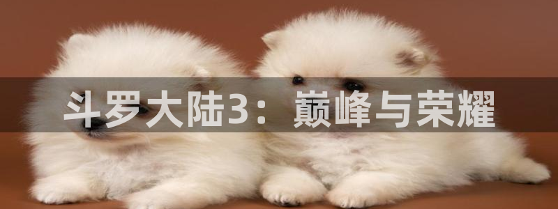 可以看韩漫的漫画官网：斗罗大陆3：巅峰与荣耀