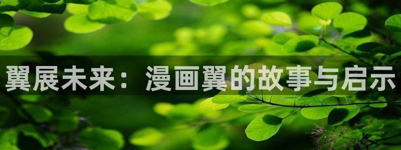 嘿嘿漫画韩漫：翼展未来：漫画翼的故事与启示